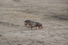 adventcrossen_2007_20_20160218_1674604796