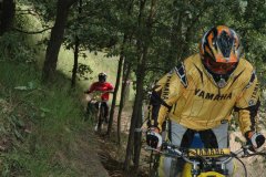 Hoope Park 2006