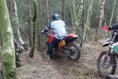 Walsrode 2009