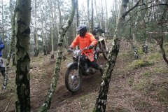 walsrode_2009_4_20160218_1630575223