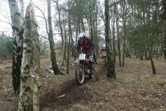 walsrode_2009_7_20160218_1935555528