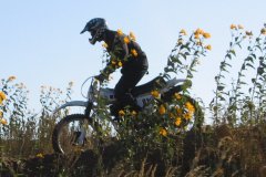 wietstock_2006_19_20160218_1372129563